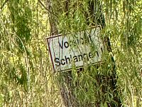 Schlangen an der Trave?